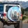 Light Grey Cat Golden Eyes, Diverse Cats Urban Cityscape - Pet Lover Everyday Decor Gift Spare Tire Cover - 3