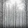 Stark Bare Trees Forest Overcast Sky - Deep Nature Lover Gift Spare Tire Cover - 6