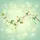 Flowering Branch Blossoms Leaves Mist Light Wisps Glows Spare Tire Cover - 6