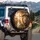 Lion Crown of Thorns Crosses Doves God is GOOD - Faith Decor Gift Spare Tire Cover - 3