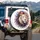 White Lion Head Golden Eyes Flowing Mane - Regal Wildlife Animal Lover Decor Gift Spare Tire Cover - 3