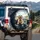 Golden Retriever Ragdoll Cat Driving Sunglasses - Pet Lover Road Trip Gift Spare Tire Cover - 3