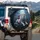 White Lion Ice Blue Eyes Red Roses Full Moon Night - Wildlife Lover Gift Spare Tire Cover - 3