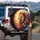 Lion Head Golden Mane Floral Butterflies - Wildlife Lover Gift Spare Tire Cover - 3