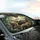 Realistic Sloths Tropical Rainforest - Wildlife Lover Gift Car Sunshade - 6