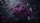 Regal Purple Roses Butterflies Shadowed Garden Scene Car Sunshade - 7