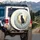 Black Cat Crescent Moon Night Sky - Cat Lover Decor Gift Spare Tire Cover - 3