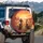 Shouting Zombie Skeleton Motorcycle Riders Desert Sunset - Motorcycle Rider Gift Spare Tire Cover - 3