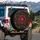 Crimson Dahlia Botanical Flower Red Berries Foliage Spare Tire Cover - 3