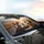 Jack Russell Terrier Dogs Driving Sunglasses Scenic Highway - Road Trip Dog Lover Gift Car Sunshade - 6