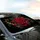Crimson Red Rose Golden Filigree Green Leaves Star Specks – Rose Lover Decor Gift Car Sunshade - 6