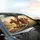 Four Laughing Horses Driving with Sunglasses - Joyful Road Trip Travel Gift Car Sunshade - 6
