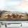 Four Laughing Horses Driving with Sunglasses - Joyful Road Trip Travel Gift Car Sunshade - 5