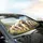 Seven Fluffy Bichon Frise Dogs - Dog Lover Decor Gift Car Sunshade - 6