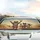 Cats Sunglasses Paws Up Open Road - Cat Lover Travel Gift Car Sunshade - 5