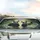 Smiling Pandas Bamboo Forest Verdant Canopy - Wildlife Lover Gift for Panda Fan Car Sunshade - 5