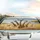 Jovial Giraffes African Savannah Safari Adventure - Wildlife Lover Gift Car Sunshade - 5