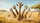 Jovial Giraffes African Savannah Safari Adventure - Wildlife Lover Gift Car Sunshade - 7