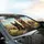 French Bulldogs Road Trip Landscape - Car Adventure Essentials for French Bulldog Lover Car Sunshade - 6
