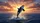 Majestic Killer Whale Leaping Turbulent Ocean Sunset Sky - Marine Wildlife Lover Gift Car Sunshade - 7