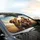 Five Happy Expressive Dogs Sun-Drenched Rolling Hills Landscape - Pet Lover Gift Car Sunshade - 6