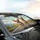 Expressive Smiling Chihuahuas Gold Chain Open Road Drive - Sun-Drenched Travel Dog Lover Gift Car Sunshade - 6