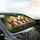 Six Chihuahuas Wildflower Meadow Botanical - Dog Lover Car Accessory Gift Car Sunshade - 6