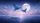 Manta Ray Ocean Night Sky Full Moon - Fantasy Ocean Lover Gift Car Sunshade - 7