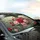 Red Pink Roses Green Teal Leaves Botanical Garden Floral Clusters - Everyday Car Accessory Car Sunshade - 6