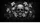 Human Skulls White Flowers Botanical Vines - Gothic Decor Gift for Dark Art Lovers Car Sunshade - 7