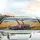 Panicked & Spectacled Giraffes Driving Convertible Car Savanna - Wildlife Lover Gift Car Sunshade - 5