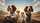 Traveling Springer Spaniel Dogs Sun-Drenched Landscape - Open Road Adventure Dog Lover Gift Car Sunshade - 7