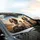 Traveling Springer Spaniel Dogs Sun-Drenched Landscape - Open Road Adventure Dog Lover Gift Car Sunshade - 6
