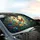 Monarch Blue Butterflies Lush Green Foliage Flowers - Wildlife Lover Gift Car Sunshade - 6