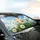 White Daisy Flowers Cluster Green Leaves - Everyday Nature Lover Gift Car Sunshade - 6