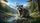 Raccoon Wildflower Mountain Stream - Wildlife Lover Gift Car Sunshade - 7