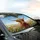 Highland Cow Wildflower Meadow - Farmhouse Decor Gift for Cow Lover Car Sunshade - 6
