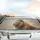 Majestic Lion Flame Dust Mane Field - Wildlife Lover Car Gift Car Sunshade - 5