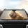 Majestic Lion Flame Dust Mane Field - Wildlife Lover Car Gift Car Sunshade - 4