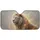 Majestic Lion Flame Dust Mane Field - Wildlife Lover Car Gift Car Sunshade - 3