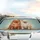 Fluffy Pomeranian Dog Couple Side-by-Side Warm Wood - Gift for Dog Lovers Car Sunshade - 5