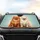 Fluffy Pomeranian Dog Couple Side-by-Side Warm Wood - Gift for Dog Lovers Car Sunshade - 4