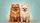 Fluffy Pomeranian Dog Couple Side-by-Side Warm Wood - Gift for Dog Lovers Car Sunshade - 7