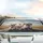 Fluffy Dogs Driving Sunglasses Road Trip - Sun Drenched Adventure Gift for Dog Lovers Car Sunshade - 5