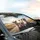 Fluffy Dogs Driving Sunglasses Road Trip - Sun Drenched Adventure Gift for Dog Lovers Car Sunshade - 6