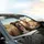 Happy Pit Bulls Road Trip - Dog Lover Travel Essentials Car Sunshade - 6