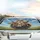 Four Chihuahuas Driving Rainbow Scarf - Open Road Adventure Gift Car Sunshade - 5