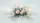 Botanical Light Pink Peach Roses Foliage Misty Landscape Car Sunshade - 7