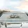 Botanical Light Pink Peach Roses Foliage Misty Landscape Car Sunshade - 5