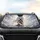 Ethereal White Lion, Armored Figure Golden Sword - Epic Fantasy Fan Gift for Adventure Lovers Car Sunshade - 4